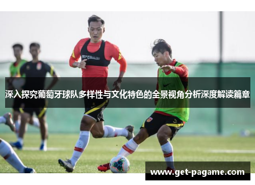 深入探究葡萄牙球队多样性与文化特色的全景视角分析深度解读篇章